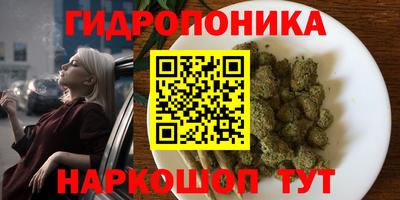 хмурый Камышлов