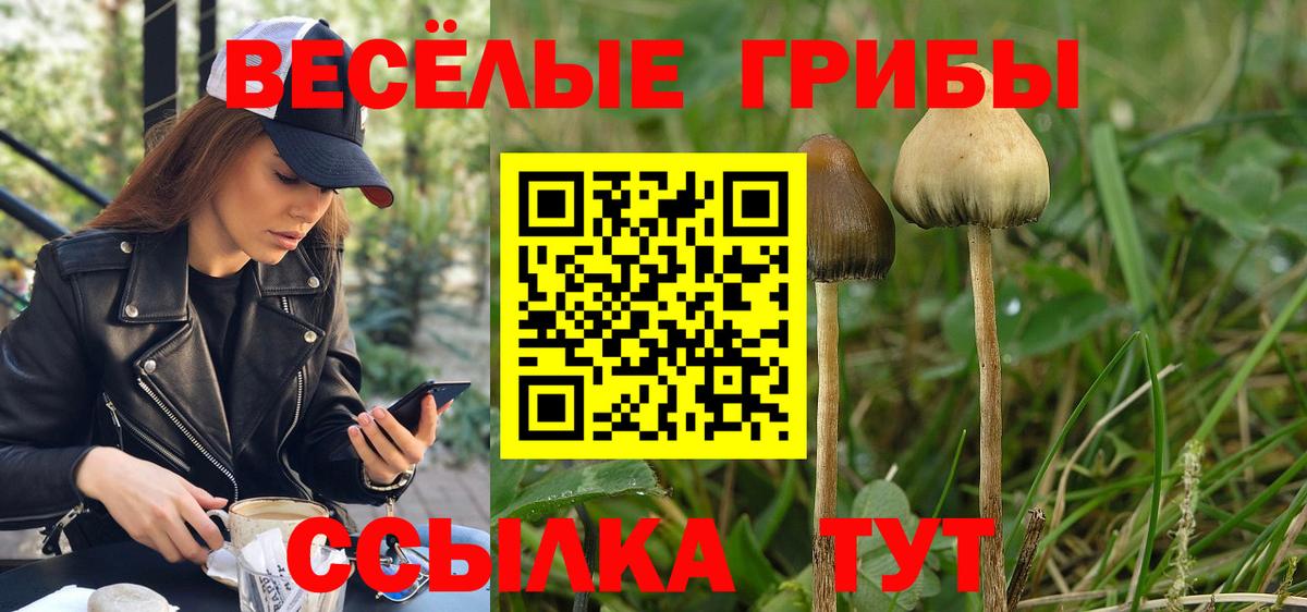 Майский  Галлюциногенные грибы Psilocybe  Галлюциногенные грибы Psilocybine cubensis  где продают наркотики  Вход с VPN 