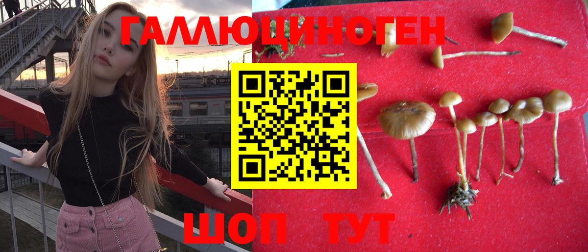 Псилоцибиновые грибы Magic Shrooms Майский